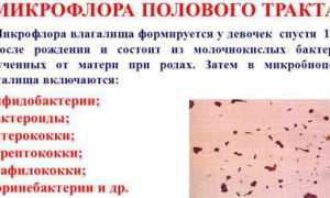Лейкоциты в мазке у женщин: норма, причины отклонений