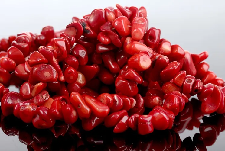 Камни коралл