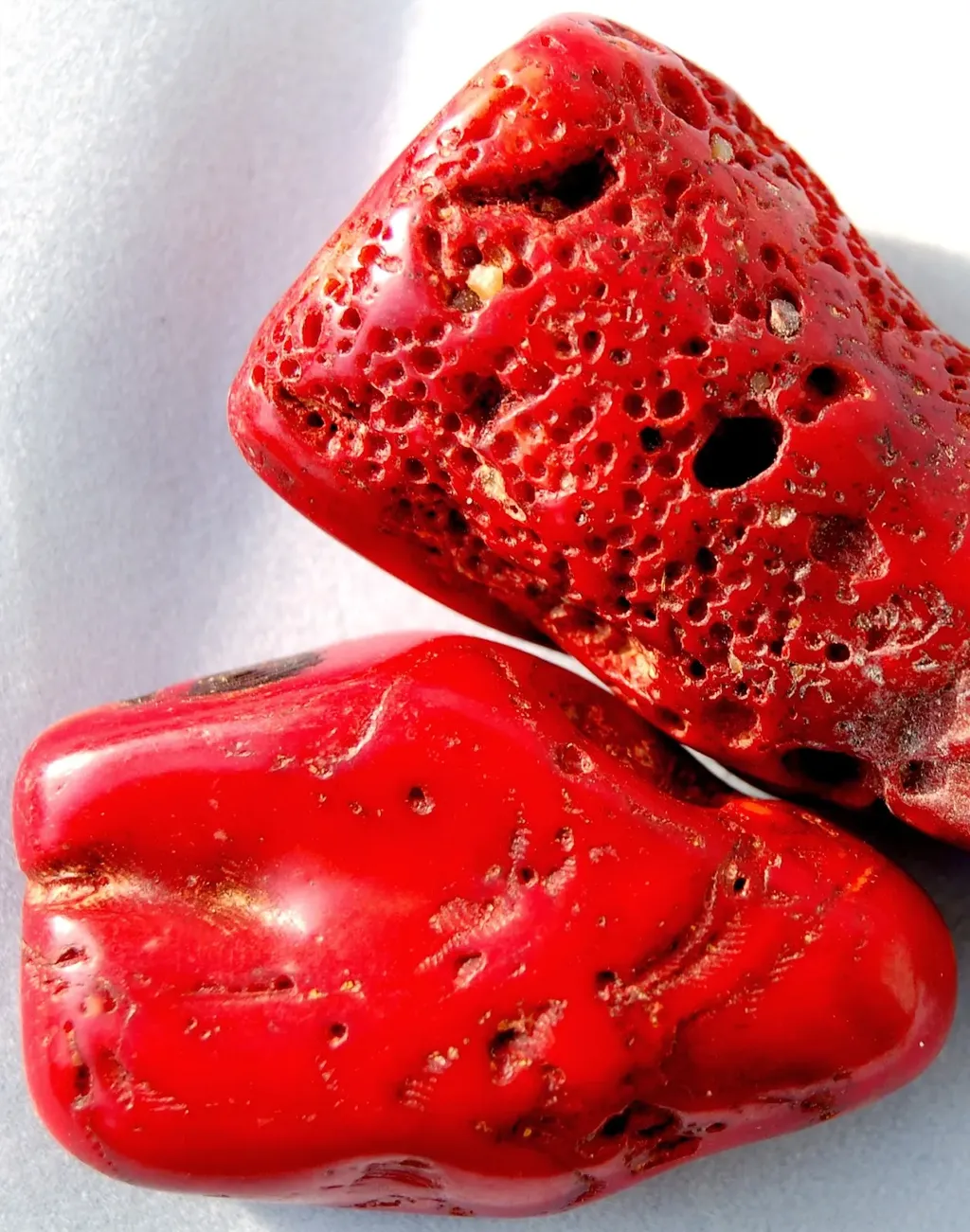 Минерал коралл