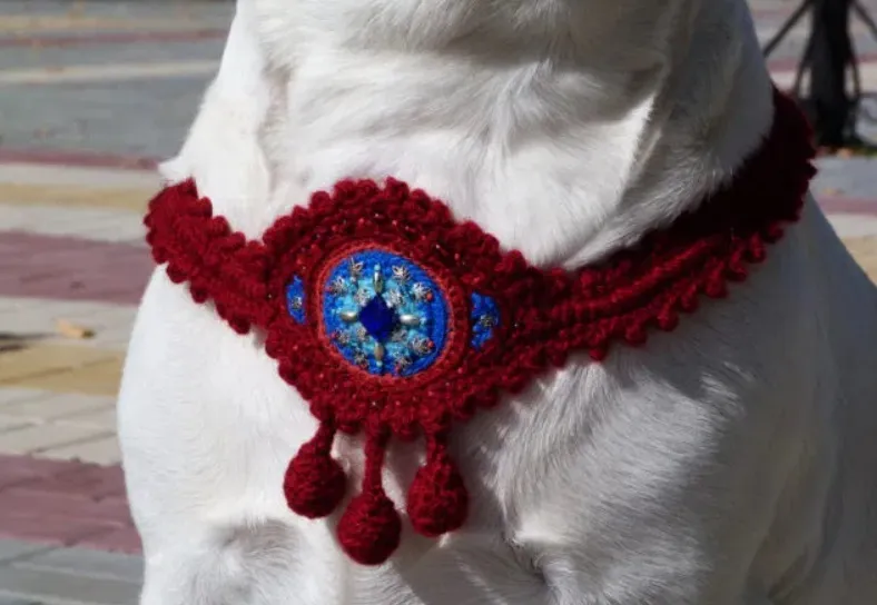 Оберег на собаке