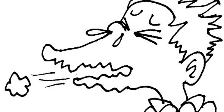 иллюстрация чиха