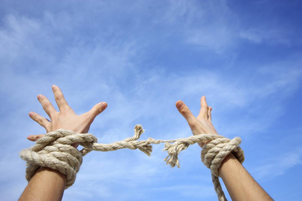 Как переводится слово фридом