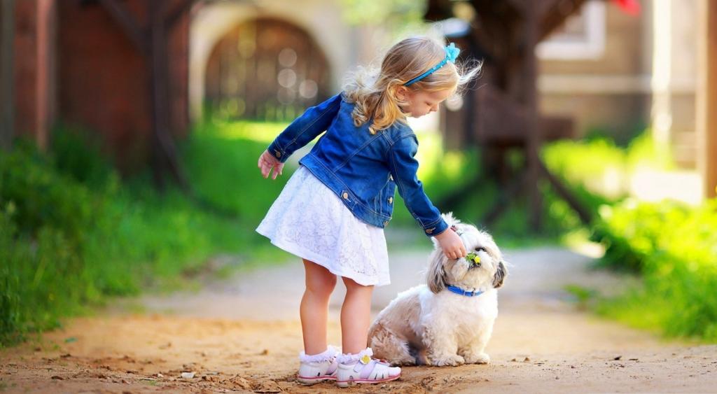 Добрая девочка с собакой.