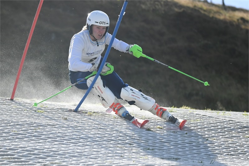 Значение имени Николь для девочки