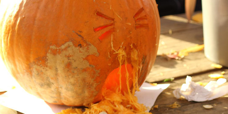 тыква чихает