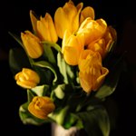 Желтый букет