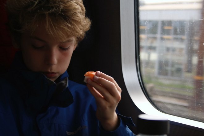 Мальчик в поезде