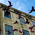 Фигуры птиц необычного цвета