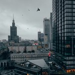 Птицы в мегаполисе