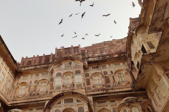 Птицы рядом с крышей