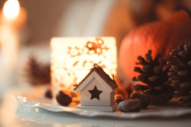 Маленький домик возле шишки