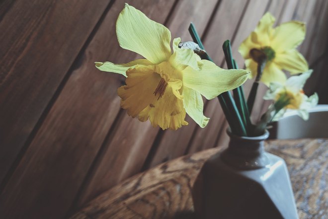 Желтые лилии в вазе на столе