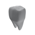 Приснилась фотография выпавшего зуба