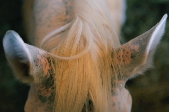 Дискомфорт в ушах не возникает на ровном месте