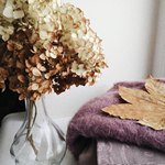 Сухие цветы