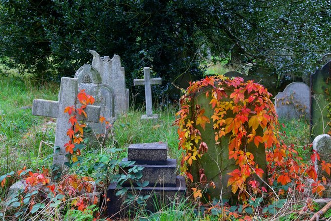 Старое кладбище