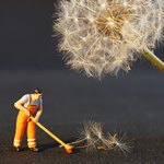 Подметание под одуванчиком