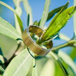 Кольцо в листьях