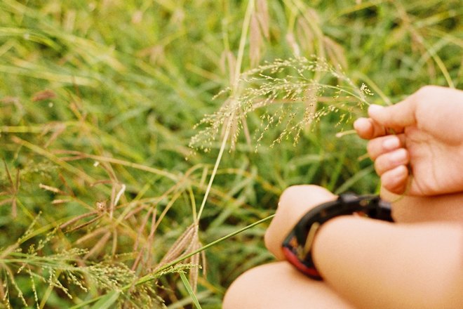 Поиски кольца в траве