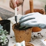 Цветочный горшок с землей