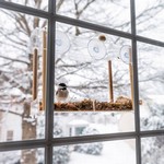 Птичка в кормушке на присосках