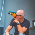 Попугай на плече