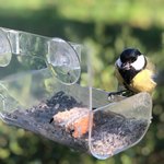 Синица на кормушке