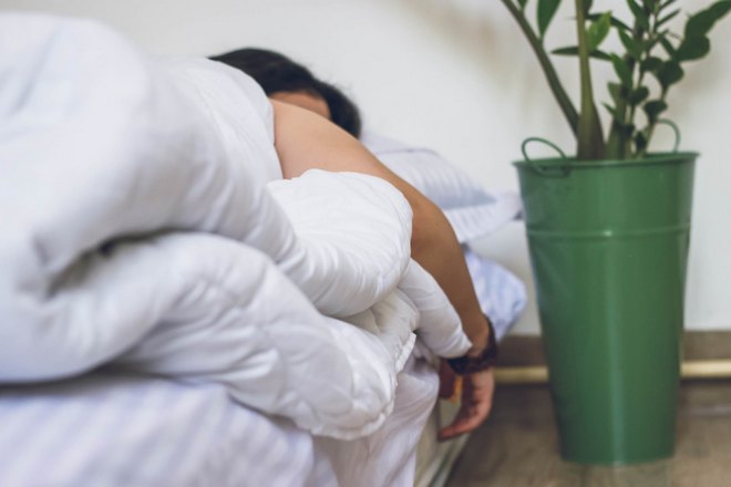 кто-то спит без задних ног