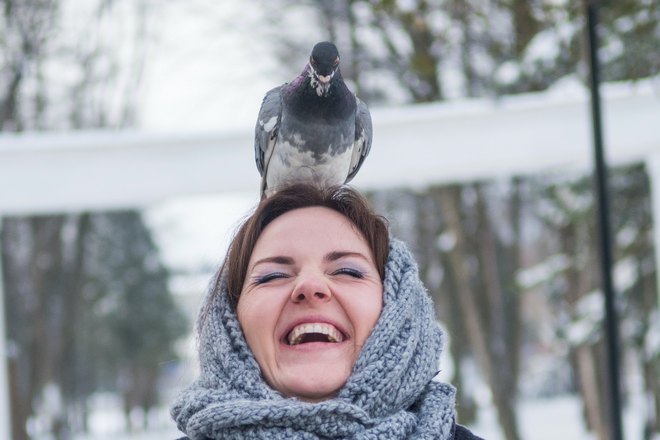 Голубь на голове