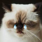 прикусил язык 5