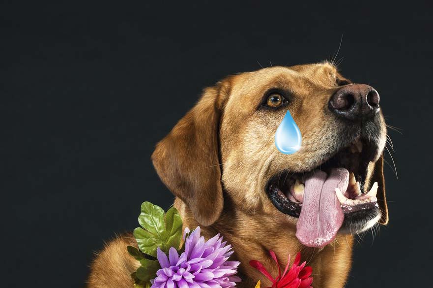 прикусил язык 7