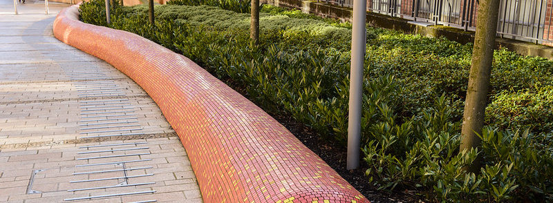 червяк на улице