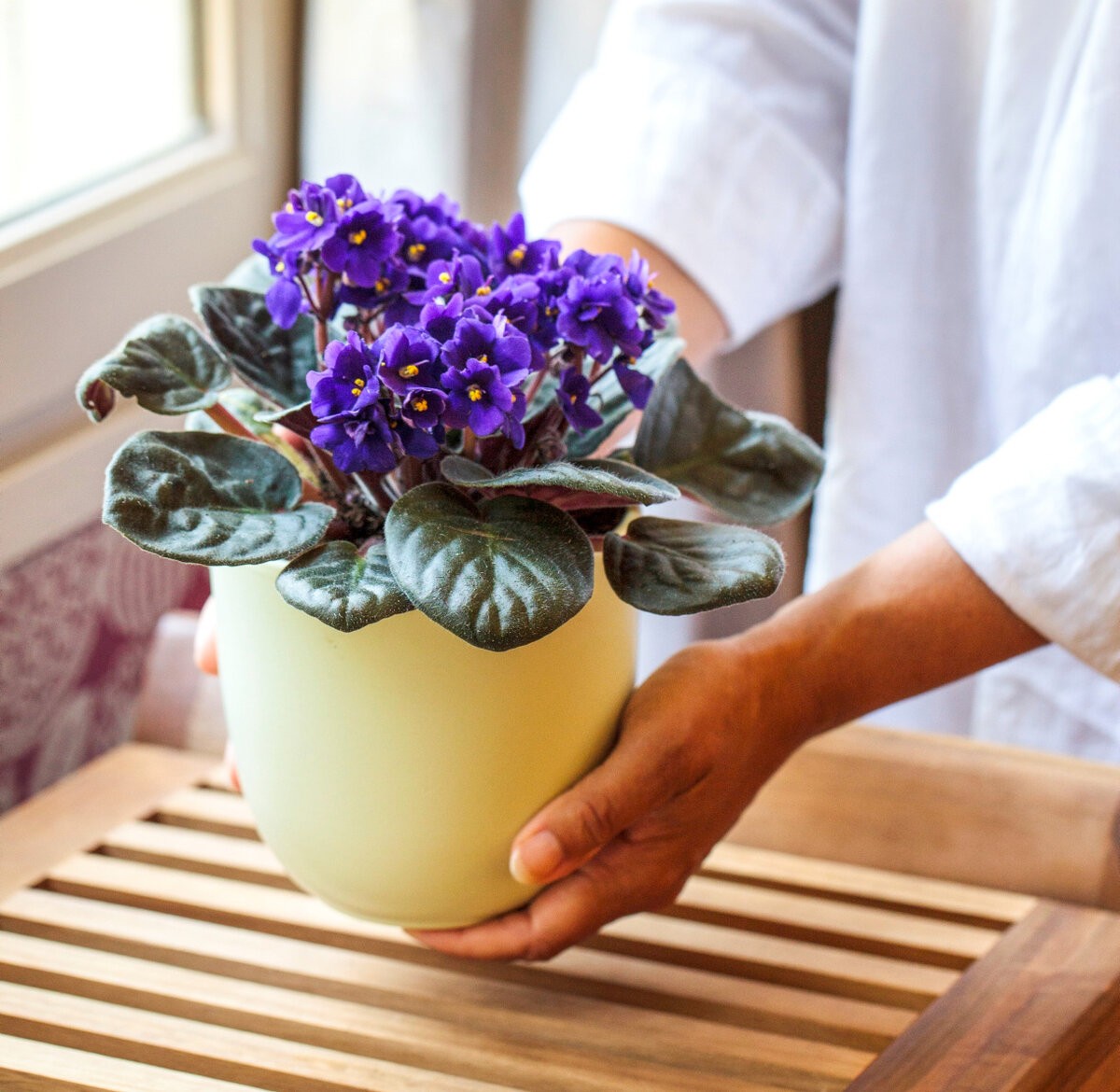 девушка держит фиалку