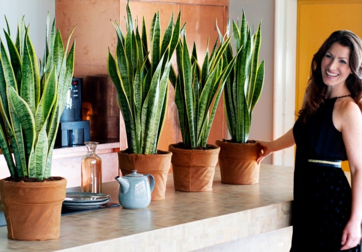 девушка рядом с цветами