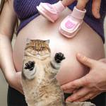 потрогать живот 2