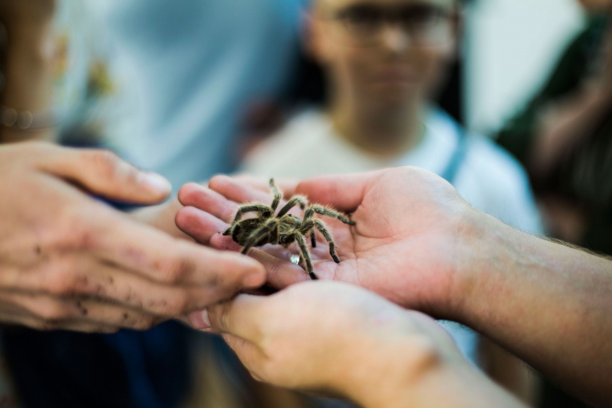 Люди с пауком