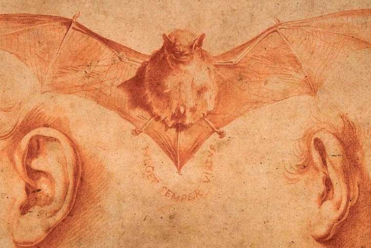 горит левое ухо6