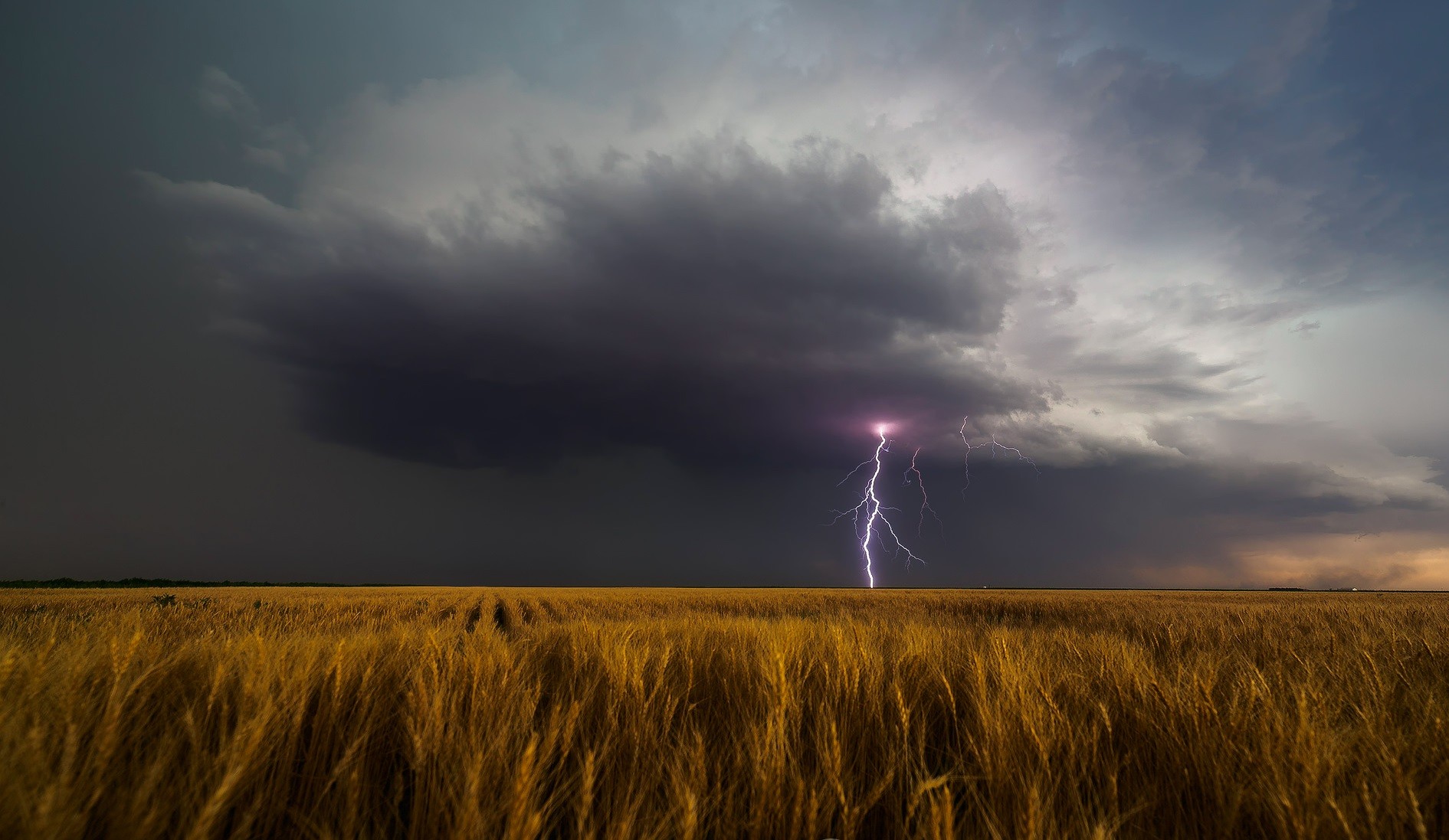 гром над полем