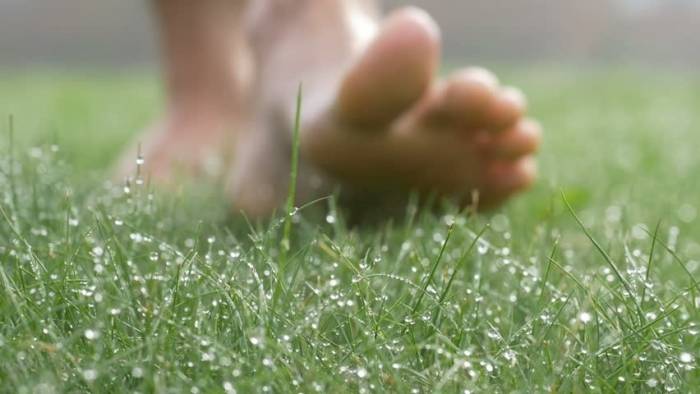 Босиком по мокрой траве