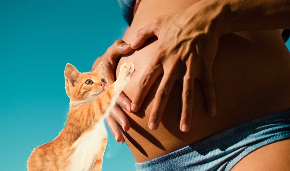 потрогать живот 4