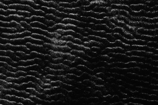 каракуль что это