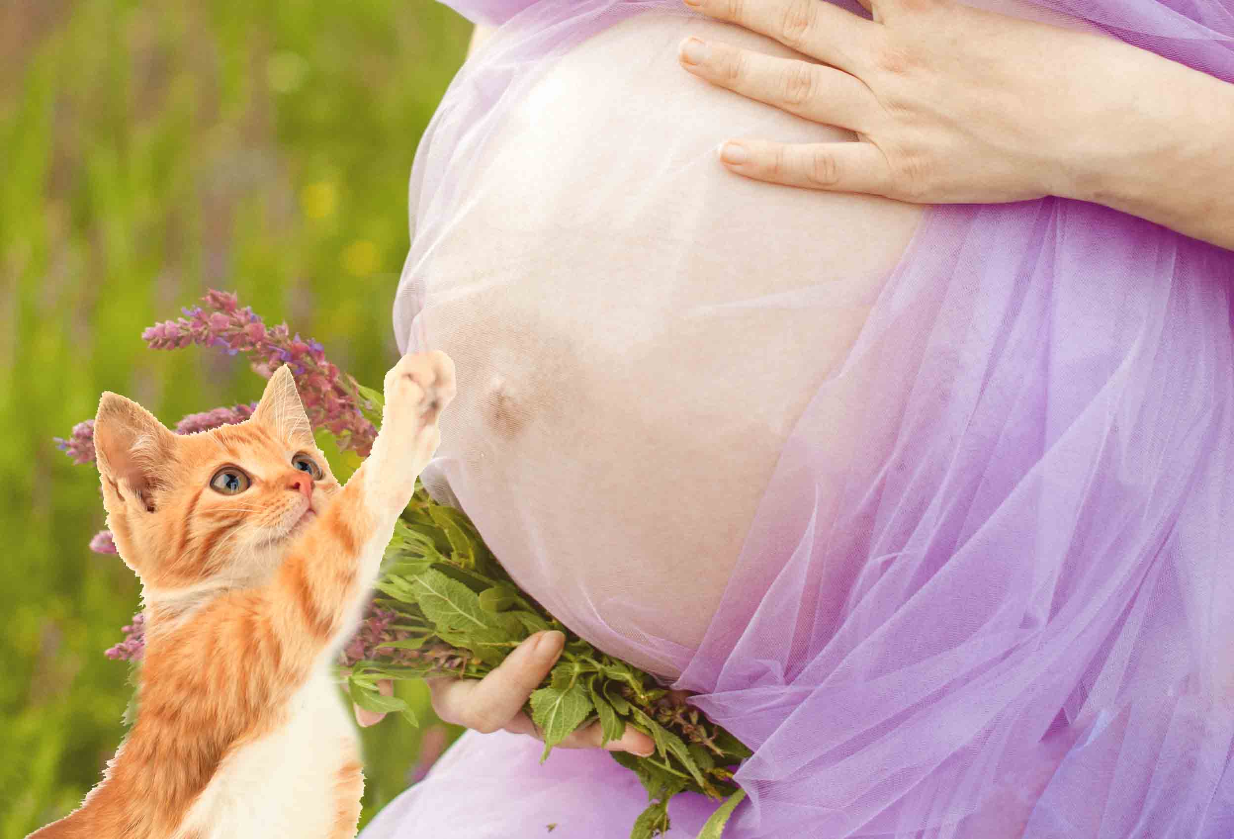 потрогать живот 6