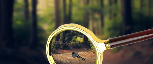 ключ в лесу