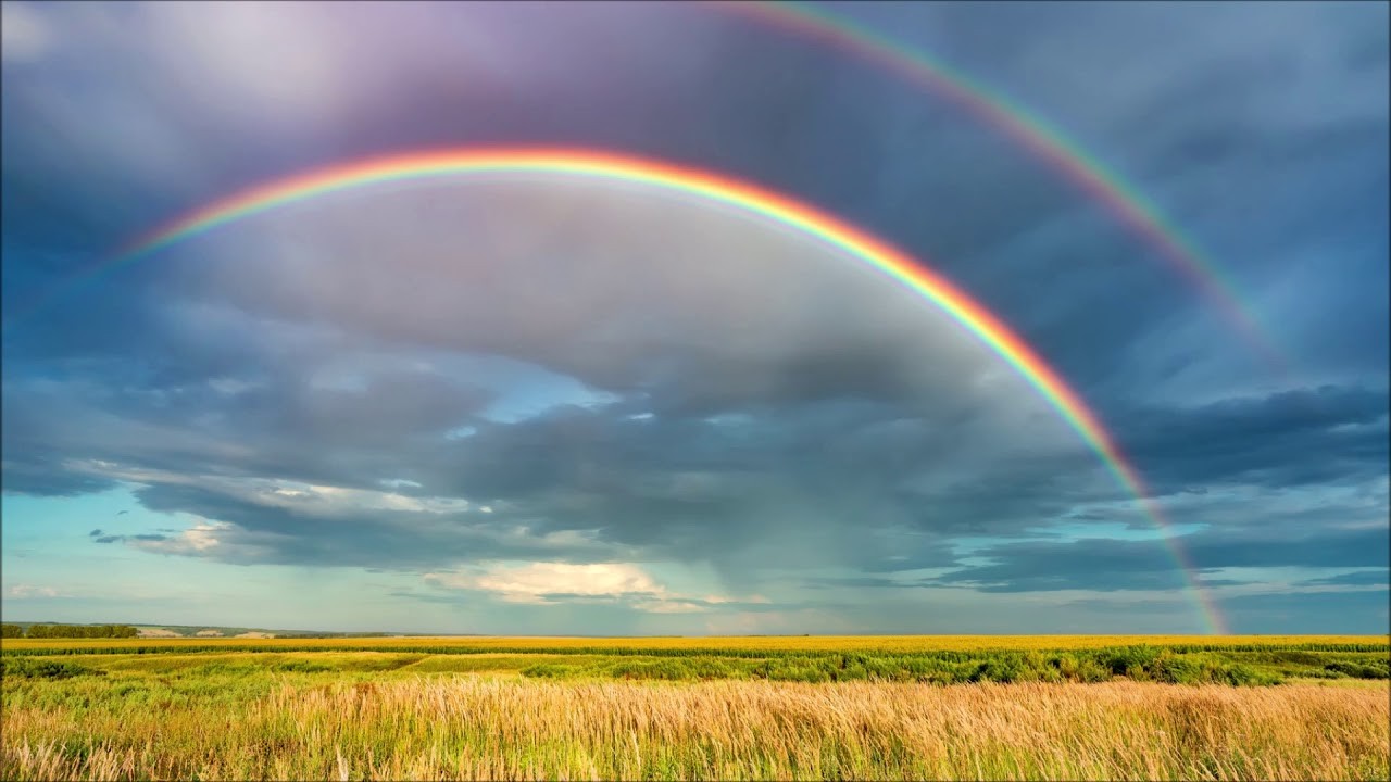 красивое поле