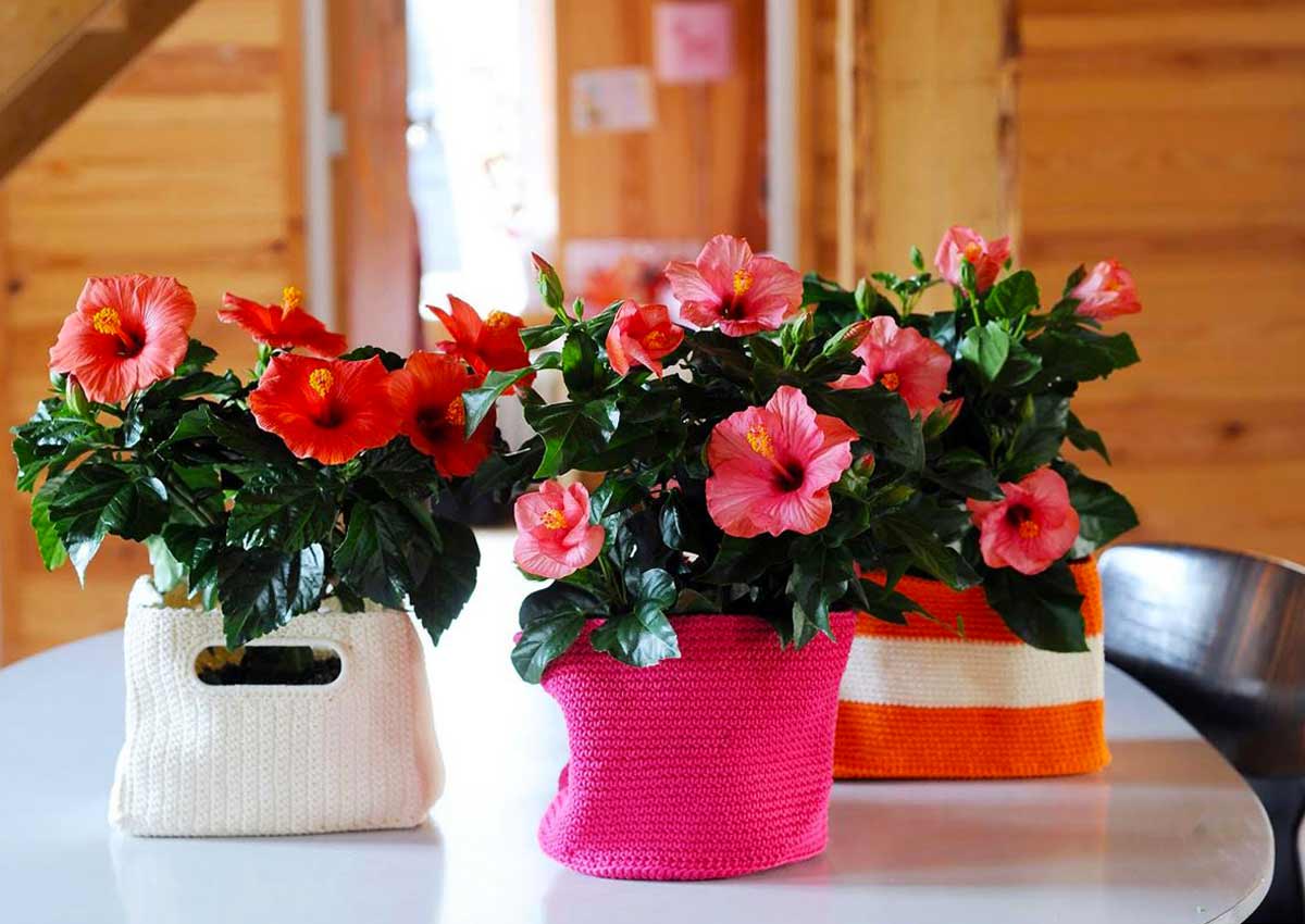 красивые кашпо для цветов