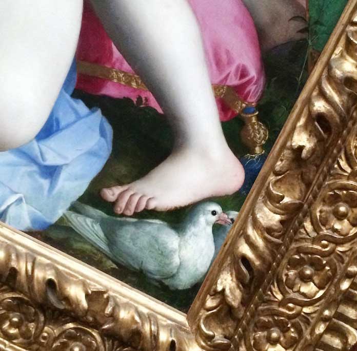 левая стопа7