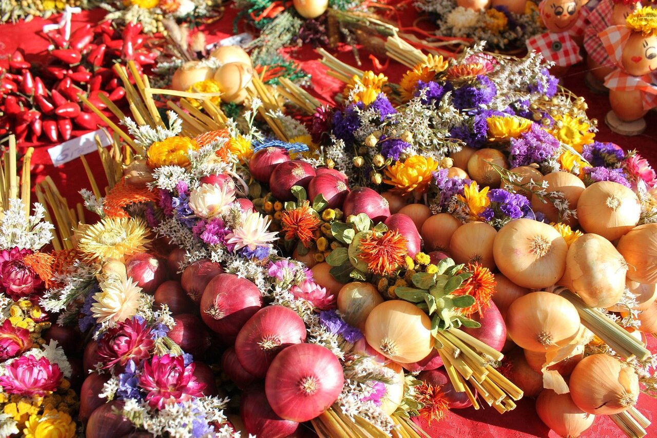 лук в косичке