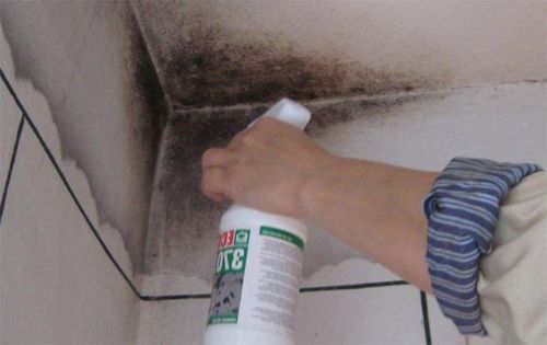 Миф про грибок под натяжным потолком