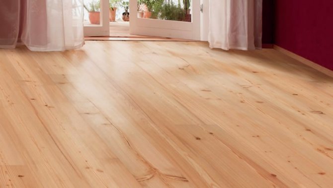 Мухи часто селятся под полом