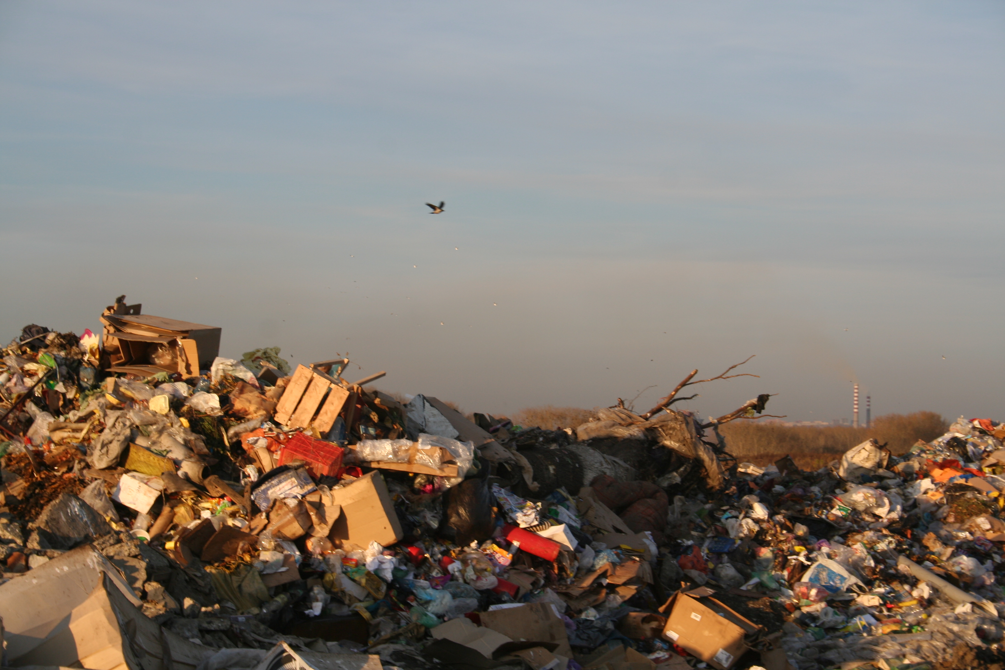 мусорная свалка на закате